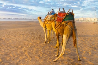 Morocco Evisa For Mauritius Citizens