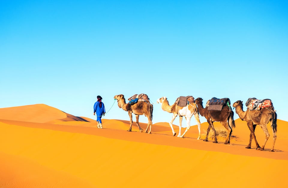 Le Maroc : une destination sûre ?